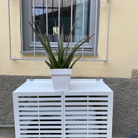 Pilati 37 Floransa
